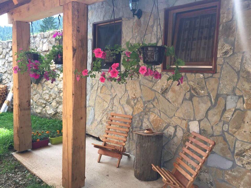 Konak Mandica Avlija Zaovine Exterior foto